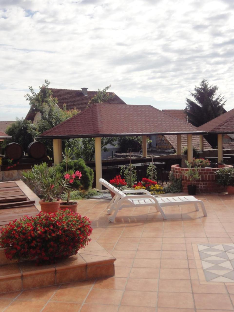 Hotel Cateski Dvorec Чатеж-об-Саві Екстер'єр фото
