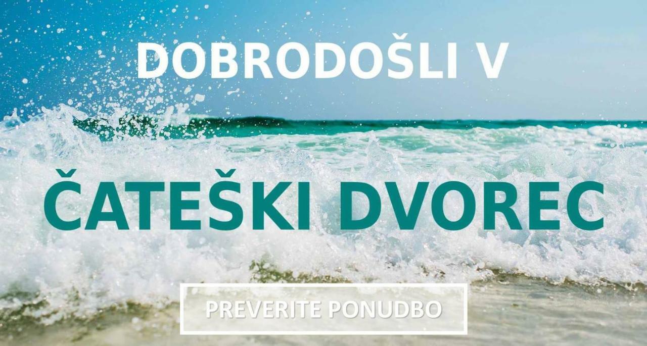 Hotel Cateski Dvorec Чатеж-об-Саві Екстер'єр фото